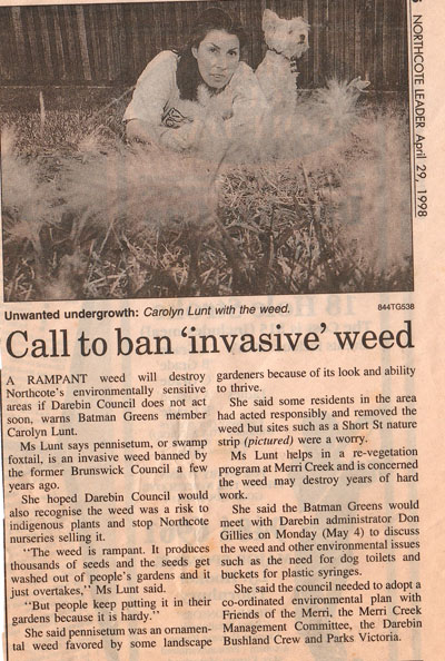 Ban weeds article